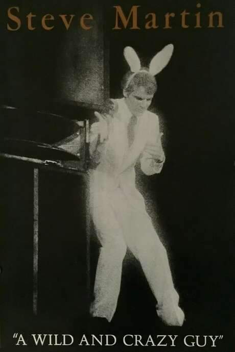 Steve Martin: A Wild and Crazy Guy